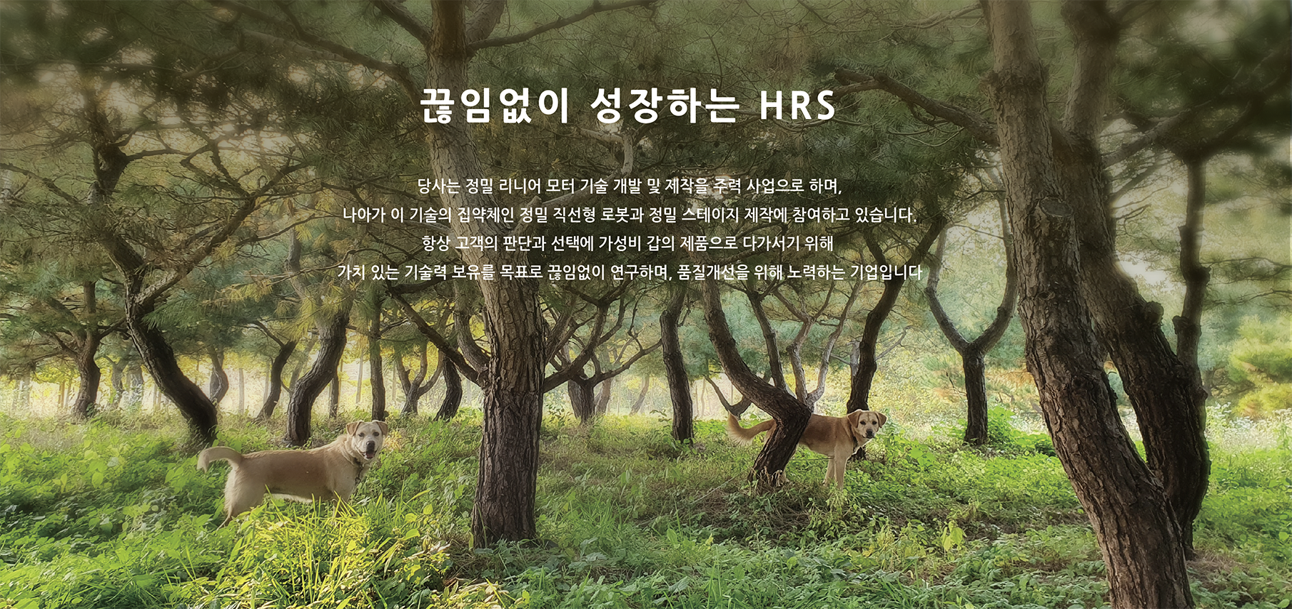 에이치알시스템